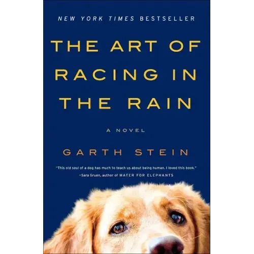 The Art of Racing in the Rain