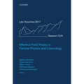 Effective Field Theory in Particle Physics and Cosmology: Lecture Notes of the Les Houches Summer School: Volume 108, July 2017