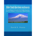 Bible Study Questions on Genesis: A workbook suitable for Bible classes, family studies, or personal Bible study