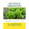 Lettuce Growing: Farmers' Bulletin 1609
