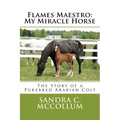 Flames Maestro: My Miracle Horse: The Story of a Purebred Arabian Colt