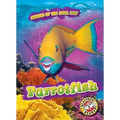 Parrotfish