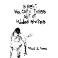 in night we coax things out of hidden shapes