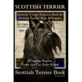 Scottish Terrier Training Book for Scottish Terrier Dogs & Scottish Terrier Puppies By D!G THIS DOG Training, Training Begins From the Car Ride Home,