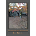 Voyage to America 1766: Revised reprint originally published 2006