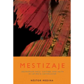 Mestizaje: Remapping Race, Culture, and Faith in Latina/O Catholicism