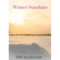 Winter Sunshine