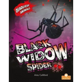 Black Widow Spider