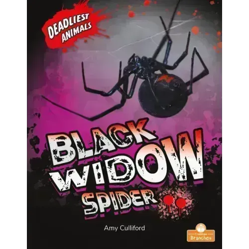 Black Widow Spider