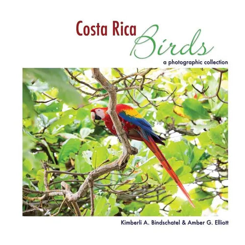 Costa Rica Birds: A Photographic Collection