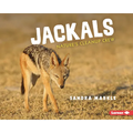 Jackals: Nature's Cleanup Crew