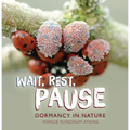 Wait, Rest, Pause: Dormancy in Nature