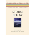 Storm Below