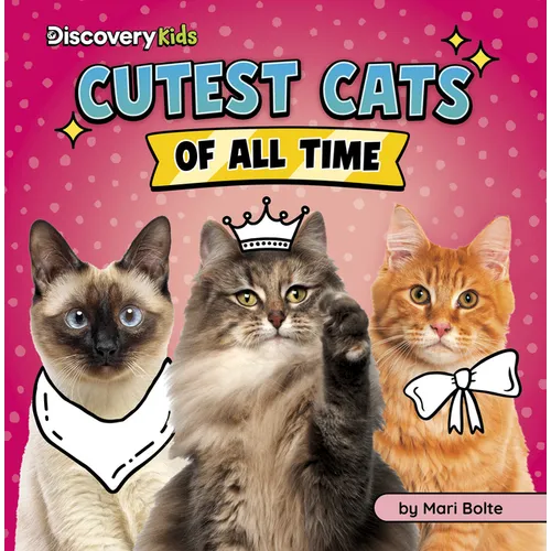 Cutest Cats of All Time
