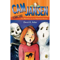 CAM Jansen: The Mystery at the Haunted House #13