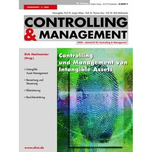 Controlling Und Management Von Intangible Assets
