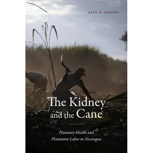 The Kidney and the Cane: Planetary Health and Plantation Labor in Nicaragua
