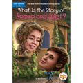 What Is the Story of Romeo and Juliet?