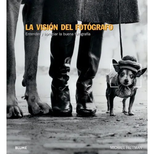 La Visión del Fotógrafo: Entender Y Apreciar La Buena Fotografía
