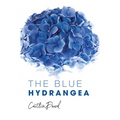 The Blue Hydrangea