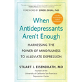 When Antidepressants Aren't Enough: Harnessing the Power of Mindfulness to Alleviate Depression