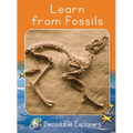 Learn from Fossils: Fluency Boost