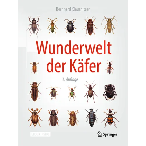Wunderwelt Der Käfer