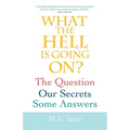 What The Hell Is Going On? The Question, Our Secrets, Some Answers