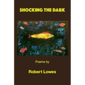 Shocking the Dark