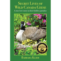 Secret Lives of Wild Canada Geese: A true love story in their hidden paradise