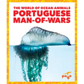 Portuguese Man-Of-Wars