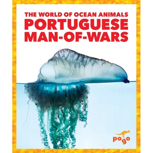 Portuguese Man-Of-Wars