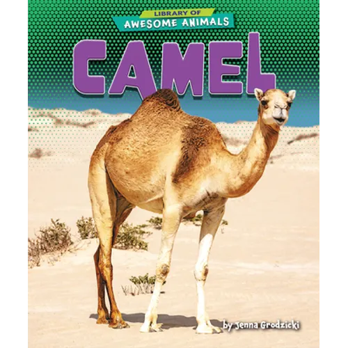 Camel