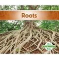 Roots