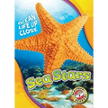 Sea Stars
