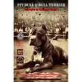 Pit Bull & Bull Terrier: History of Combat Dogs
