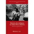Historia afro-indígena en Chile, Perú y Bolivia