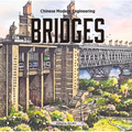 Bridges: The Science and Art of Structural Engineering