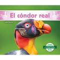 El Cóndor Real (King Vulture)