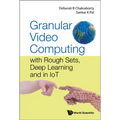 Granular Video Computing