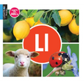 LL