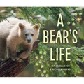 A Bear's Life