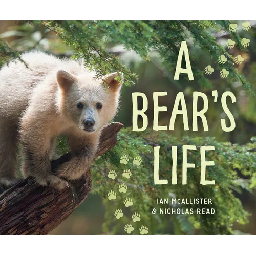 A Bear's Life