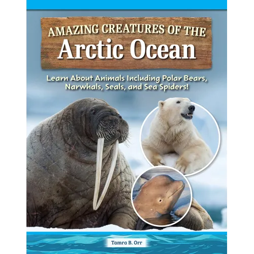 Amazing Creatures of the Arctic Ocean: Learn about Animals Including Polar Bears, Narwhals, Seals, and Sea Spiders!