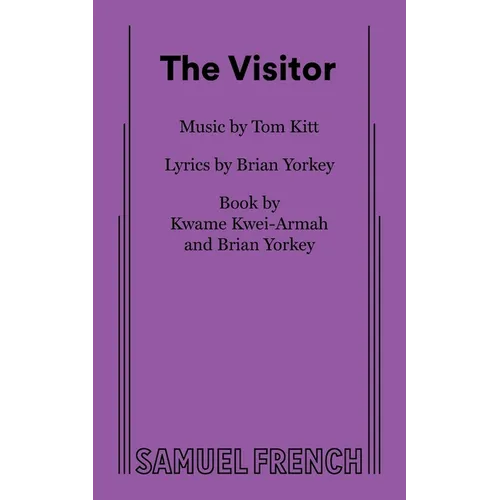 The Visitor