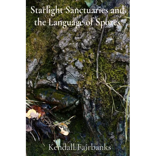 Starlight Sanctuaries and the Language of Spores: Deciphering the Secrets of Mycelial Networks and Fungal Folklore