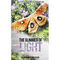 The Glimmer of Light