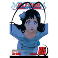 Bleach, Vol. 65