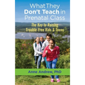 What They Don't Teach in Prenatal Class: The Key to Raising Trouble-Free Kids & Teens