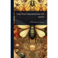 The Polymorphism Of Ants